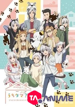Uchitama: Uchi no Tama Shirimasenka? VOSTFR streaming