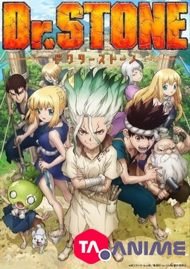 Dr. STONE VF