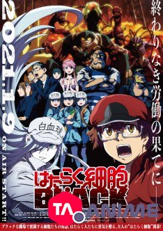 Hataraku Saibou Black VOSTFR streaming