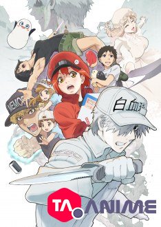 Hataraku.Saibou (Cells at Work!) Saison 02 VF streaming