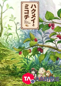 Hakumei and Mikochi VOSTFR streaming